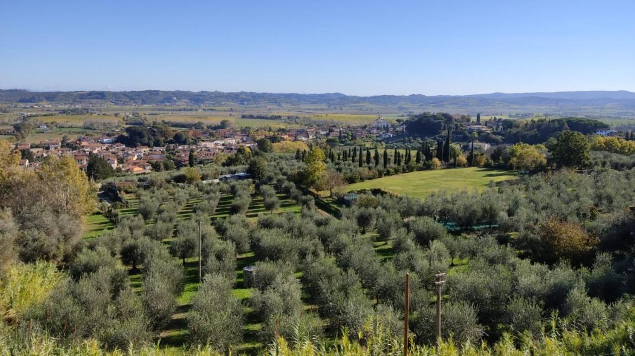 Апартаменты Holiday House I Colli Pisani Капанноли Экстерьер фото